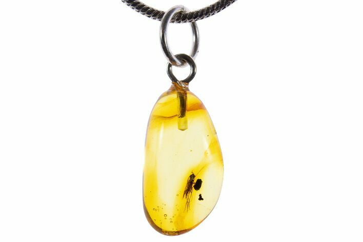 Polished Baltic Amber Pendant (Necklace) - Contains Fly! #339606